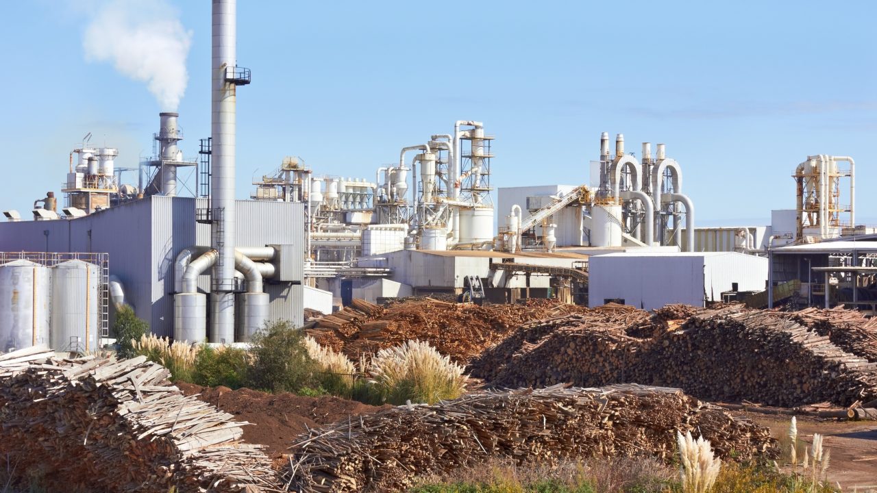 Outer view of a big isolated operating paper factory