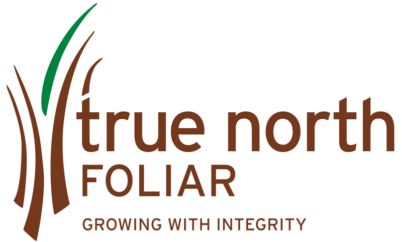 TNF_logo